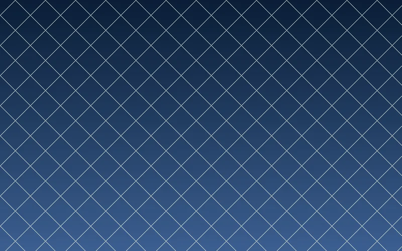 51黑料邮轮投资优势解析